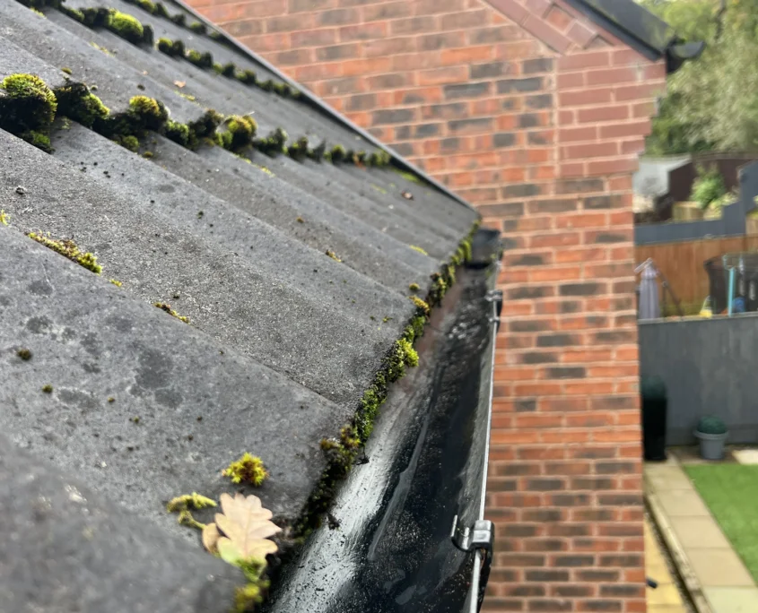 roof cleaning 